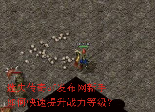 ��ʧ����sf������������ο�������ս���ȼ���