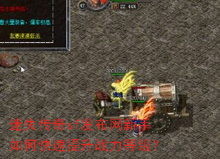 ��ʧ����sf������������ο�������ս���ȼ���