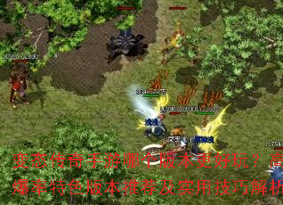 ��̬���������ĸ��汾�����棿�߱�����ɫ�汾�Ƽ���ʵ�ü��ɽ���