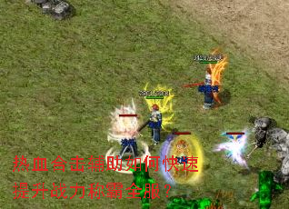 ��Ѫ�ϻ�������ο�������ս���ư�ȫ����