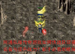 ��ͨ˽��������Ϸ��ο��ٻ�ȡϡ��װ��������ս�������ֱؿ����Խ���