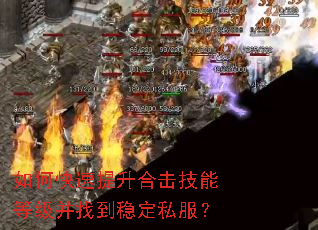 ��ο��������ϻ����ܵȼ����ҵ��ȶ�˽����