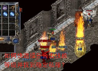 ��ο��������ϻ����ܵȼ����ҵ��ȶ�˽����