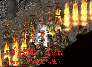 ��ο��������ϻ����ܵȼ����ҵ��ȶ�˽����