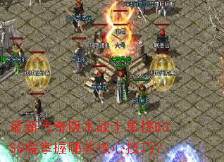 ���´���汾սʿ����BOSS��������Щ���ļ��ɣ�