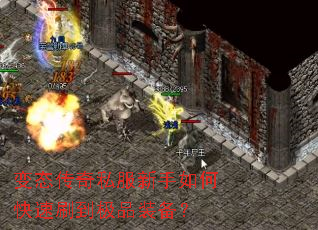 ��̬����˽��������ο���ˢ����Ʒװ����