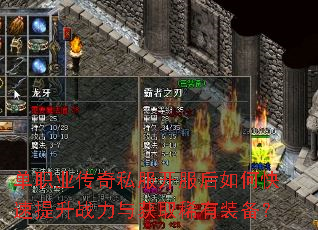 ��ְҵ����˽����������ο�������ս�����ȡϡ��װ����