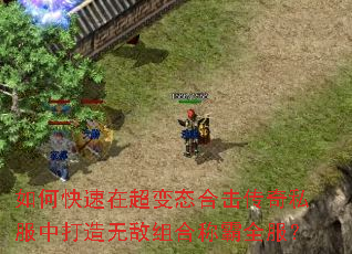 ��ο����ڳ���̬�ϻ�����˽���д����޵���ϳư�ȫ����