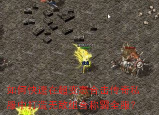 ��ο����ڳ���̬�ϻ�����˽���д����޵���ϳư�ȫ����