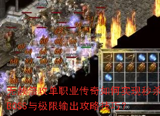 ���ⱶ����ְҵ�������ʵ����ɱBOSS�뼫��������Լ��ɣ�