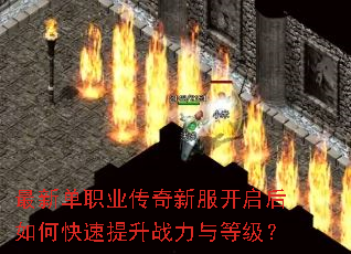 ���µ�ְҵ�����·���������ο�������ս����ȼ���