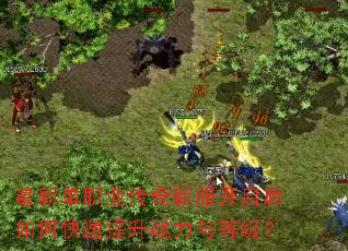 ���µ�ְҵ�����·���������ο�������ս����ȼ���