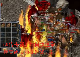 GM����������ο������ո߼���������ս����