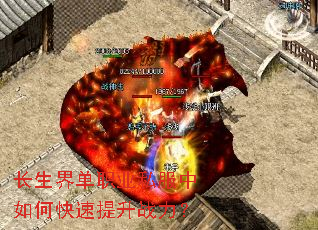 �����絥ְҵ˽������ο�������ս����