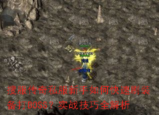 �ѷ�����˽��������ο���ˢװ����BOSS��ʵս����ȫ����