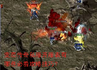 ��̬����˽������������Щ�ؿ����Լ��ɣ�