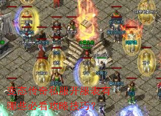 ��̬����˽������������Щ�ؿ����Լ��ɣ�