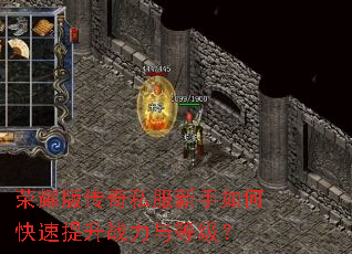 荣耀版传奇私服新手如何快速提升战力与等级? 荣耀版传奇私服新手如何快速提升战力与等级?