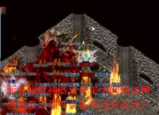 �¿������������������վ��ο��ٻ�ȡϡ��װ��������ս����