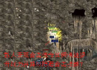 ɢ����˫�ϻ�������ο�������ս�����������غϻ����ܣ�