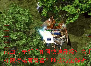 ��Ѫ����������ο��������������������ϡ��װ����PK����ȫ����