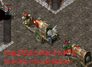 ��Ѫ��ְҵ����������ο������պ����淨�ư�ȫ����