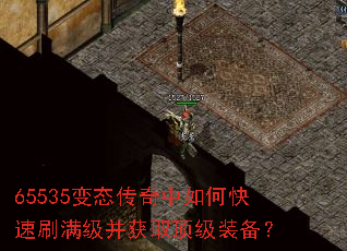 65535��̬��������ο���ˢ��������ȡ����װ����