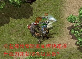 ��������������ο�������ս������ȡ�߼�װ����