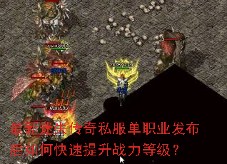 ������ʧ����˽����ְҵ��������ο�������ս���ȼ���