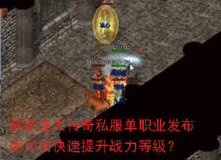 ������ʧ����˽����ְҵ��������ο�������ս���ȼ���