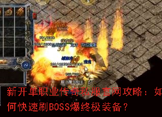 �¿���ְҵ����˽���������ԣ���ο���ˢBOSS���ռ�װ����