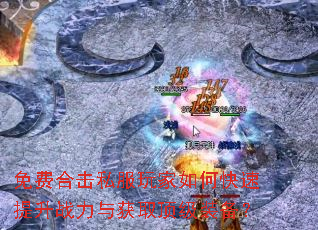 ��Ѻϻ�˽�������ο�������ս�����ȡ����װ����