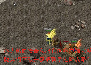 ʢ����Ѫ����˽�������ͻ���������������ز���ȡ���ֽ��׹��ԣ�