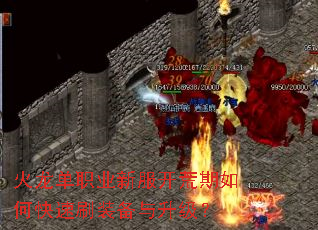 ������ְҵ�·���������ο���ˢװ����������