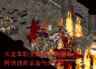 ������ְҵ�·���������ο���ˢװ����������