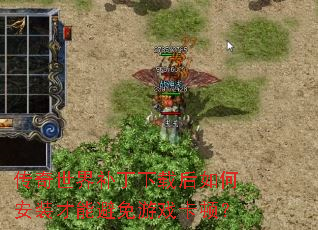 �������粹�����غ���ΰ�װ���ܱ�����Ϸ���٣�