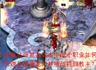 ����˽�����Ű汾��սʿְҵ��ο��ٻ�ȡ����������ս���������