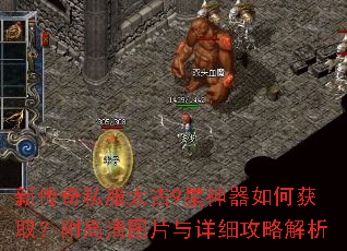 �´���˽��̫��9��������λ�ȡ��������ͼƬ����ϸ���Խ���