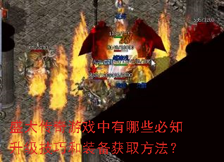 ʢ������Ϸ������Щ��֪�������ɺ�װ����ȡ������