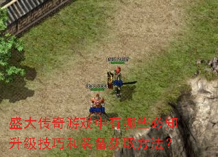 ʢ������Ϸ������Щ��֪�������ɺ�װ����ȡ������