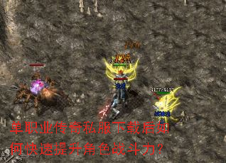 单职业传奇私服下载后如何快速提升角色战斗力? 单职业传奇私服下载后如何快速提升角色战斗力?