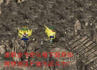 ��ְҵ����˽�����غ���ο���������ɫս������