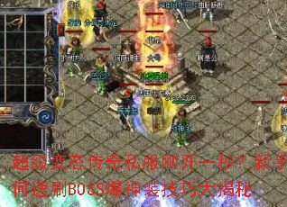 ������̬����˽���տ�һ�룿���������ˢBOSS����װ���ɴ����