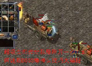 ������̬����˽���տ�һ�룿���������ˢBOSS����װ���ɴ����