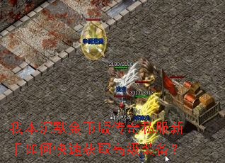 �ұ���Ĭ��Ұ洫��˽��������ο��ٻ�ȡ�߼�װ����