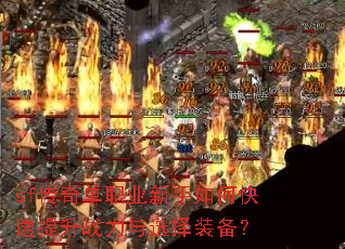 sf���浥ְҵ������ο�������ս����ѡ��װ����