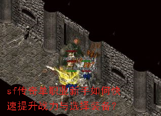 sf���浥ְҵ������ο�������ս����ѡ��װ����