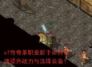 sf���浥ְҵ������ο�������ս����ѡ��װ����