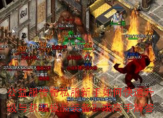 ���������˽��������ο����������ȡ��Ʒװ��������ֽ��