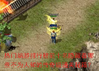 ���Ŷ������а�ǰʮ����������Щ��Ϊ��֪�Ĵ��漶ͨ���ؼ���